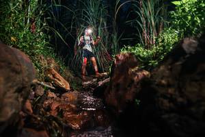 BIB: 
                            <button type="button" onclick="openModal(26415021)" class="btn btn-primary btn-sm float-right btn-popup" data-toggle="modal" data-target=".modal-high-quality">
                        <i class="fas fa-shopping-cart"></i> Add to Cart
                    </button>
                                            <button type="button" onclick="isThisMe(26415021, true)" class="btn btn-success btn-sm float-right btn-popup btn-isme hidden" data-toggle="tooltip" data-placement="bottom" title="นี่คือรูปของคุณใช่ไหม คลิกที่นี่เพื่อเอาเข้าอัลบั้ม">
                        <i class="fas fa-plus"></i> Add to album
                    </button>
                    <button type="button" onclick="isThisMe(26415021, false)" class="btn btn-warning btn-sm float-right btn-popup btn-isnotme hidden">
                        <i class="fas fa-ban"></i> Remove from album
                    </button>